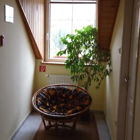 Gæstehus Czermann Panzio Es Etterem Oroszlány