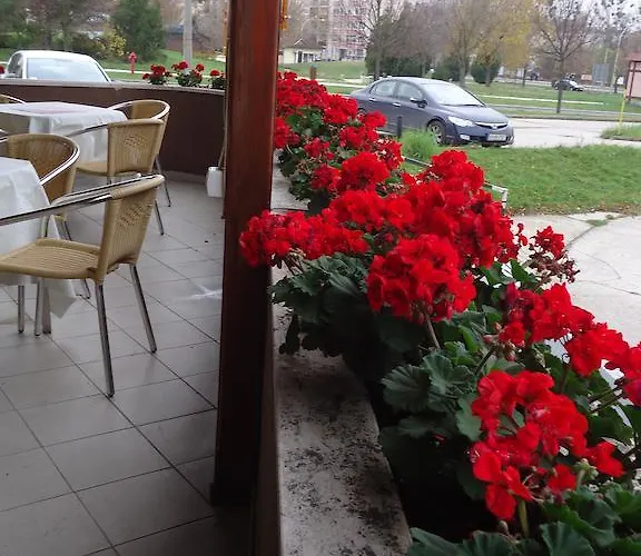 بيت ضيافة Czermann Panzio Es Etterem Oroszlány